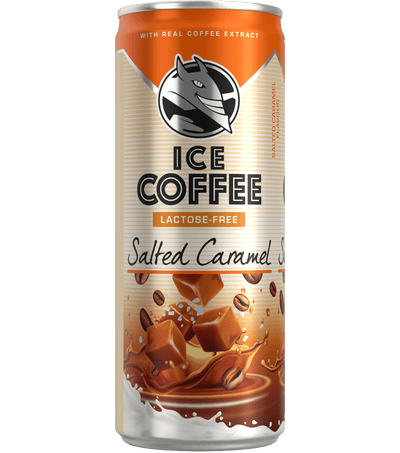 Bebida Energética Caramelo Salgado - 250ml