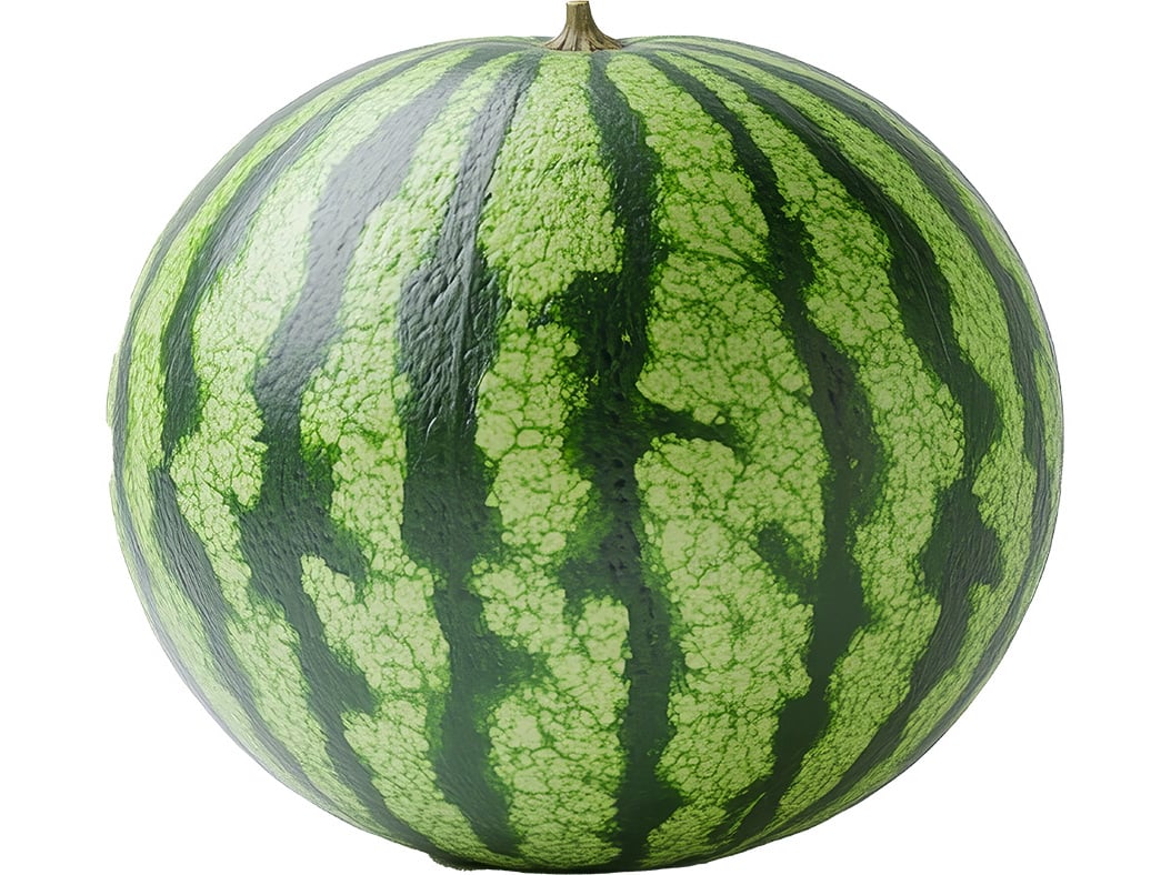 Ganze Mini Wassermelone aus Portugal - 3,5kg