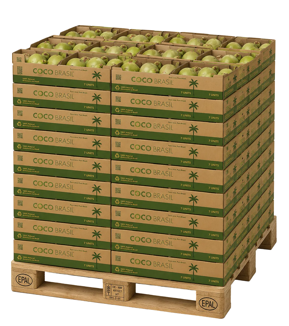 Premium brasilianische grüne Kokosnuss