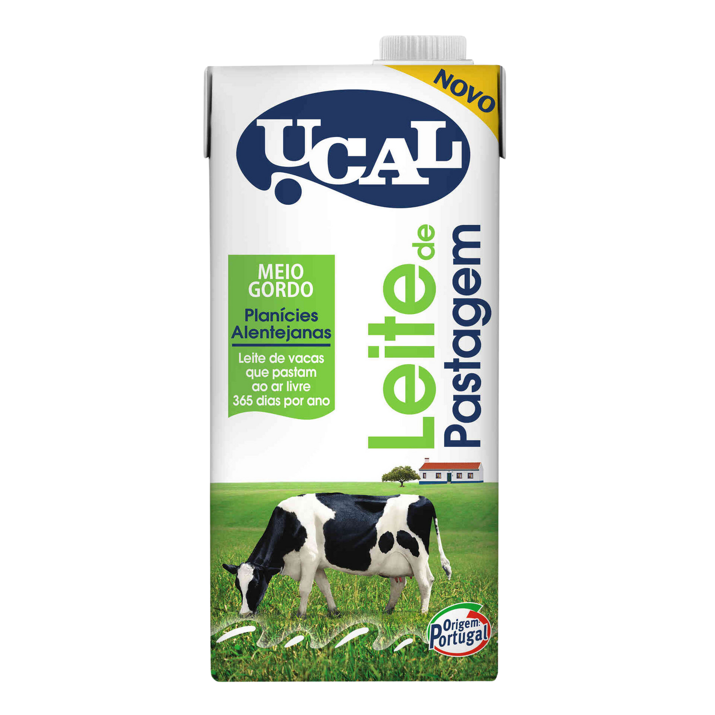 Pasture Milk Semi-skimmed - 1L