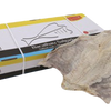 Großer norwegischer Kabeljau in Box – 15 kg