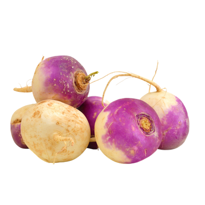 Turnip without Root from Portugal - 1kg