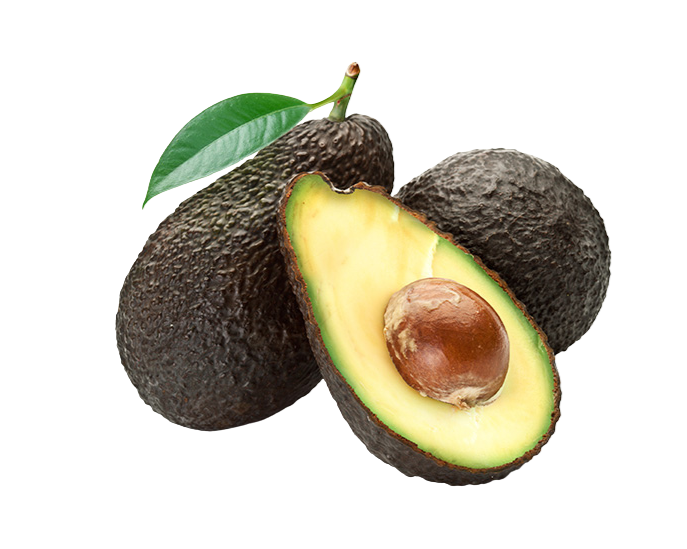 Avocado Pera from Portugal