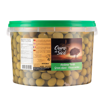 Ganze Grüne Oliven 5kg