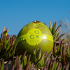 Premium brasilianische grüne Kokosnuss