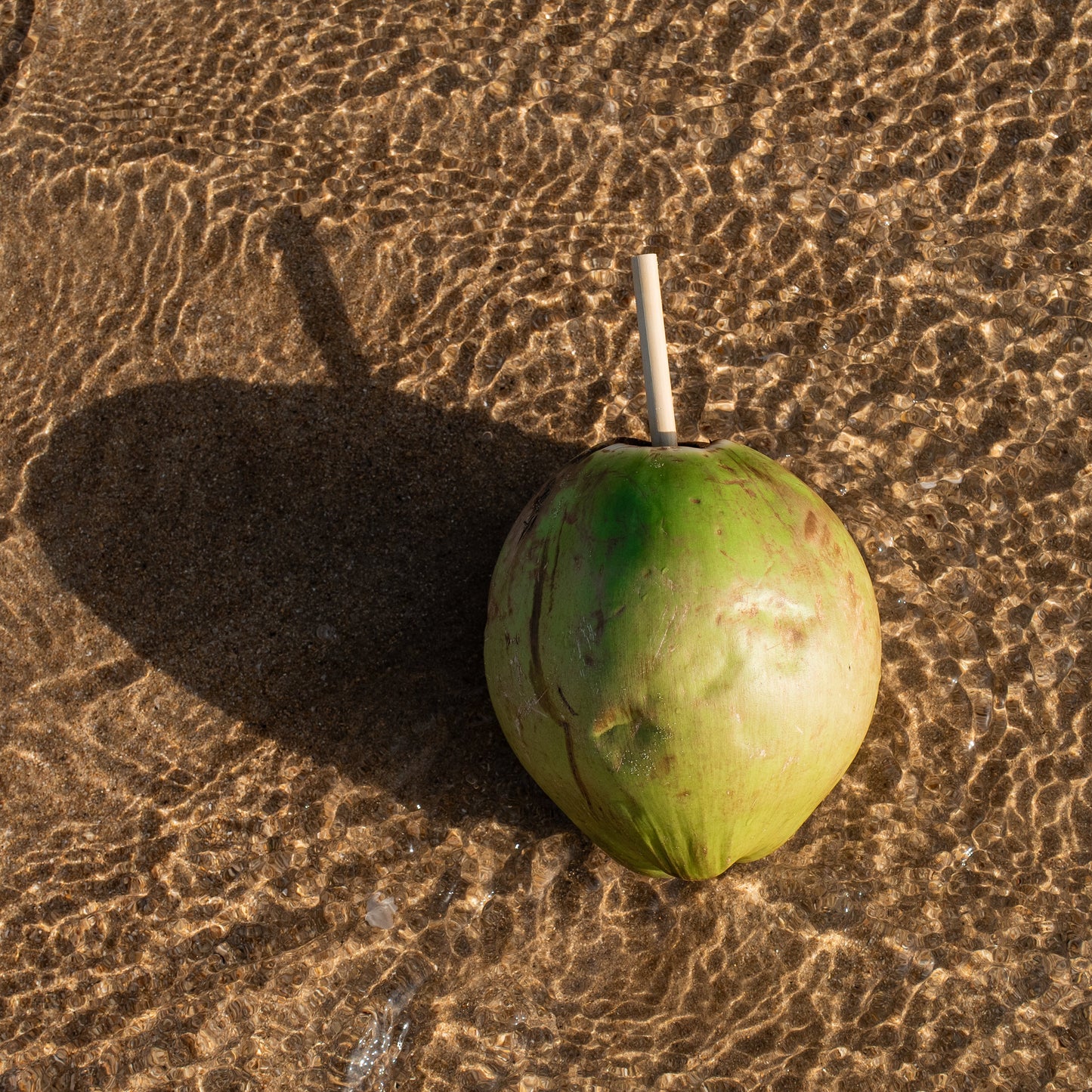 Green coconut on wet sand with a visible shadow
