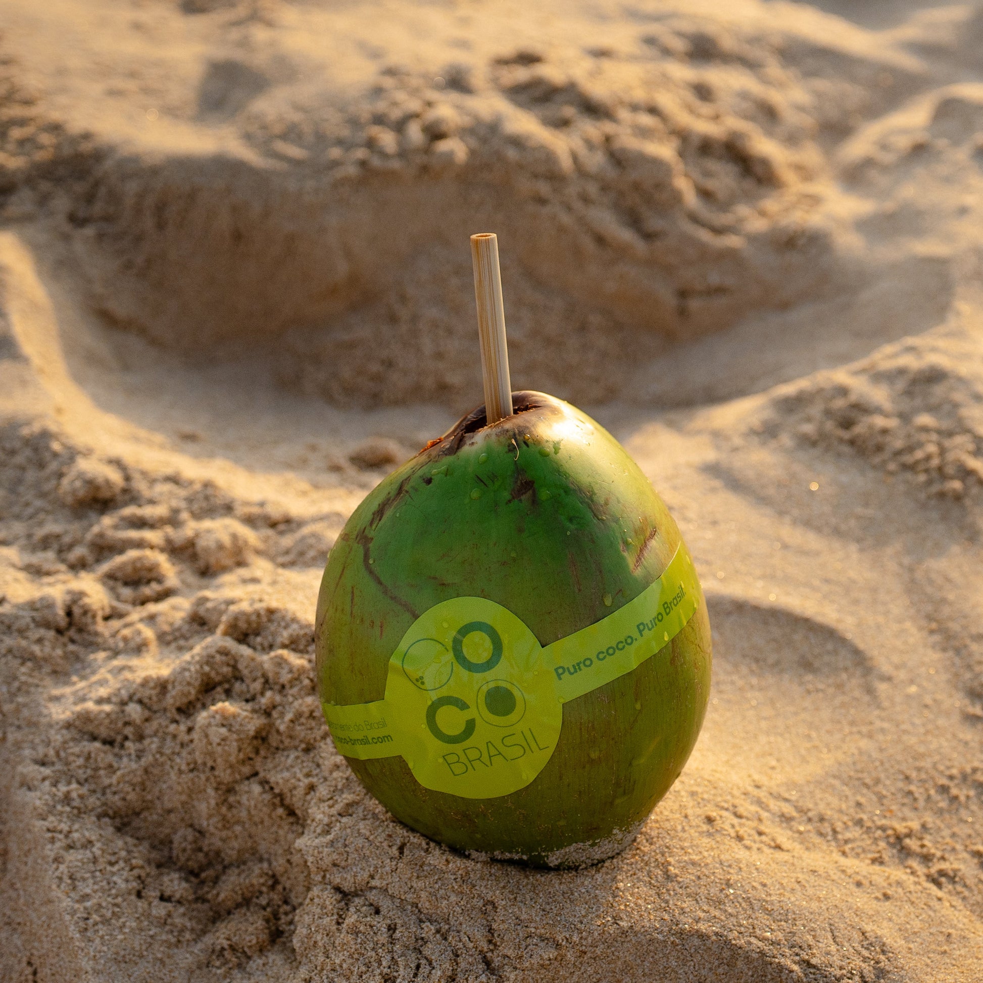 Coconut with a straw on sandy beach