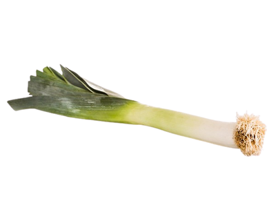 Lauch aus Portugal - 1kg