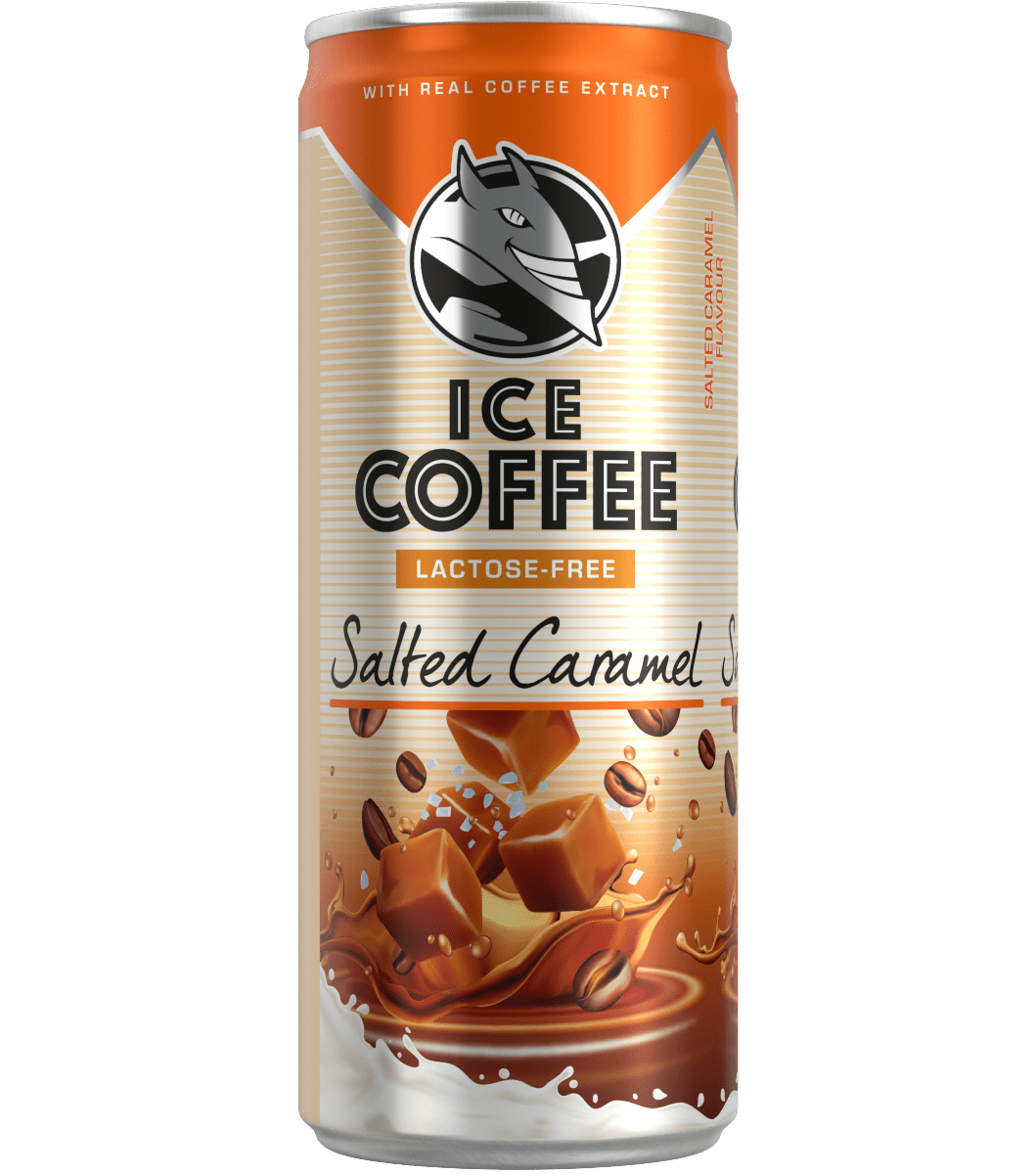 Bebida Energética Caramelo Salgado - 250ml